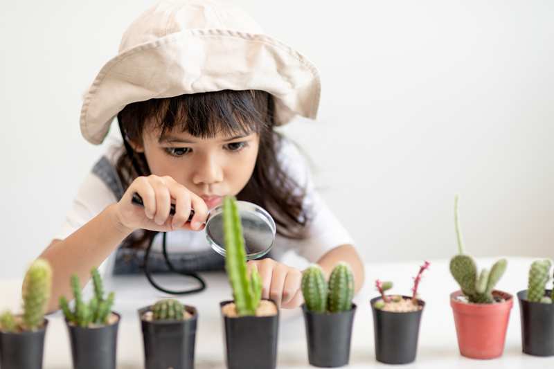 新竹蒙特梭利幼兒園